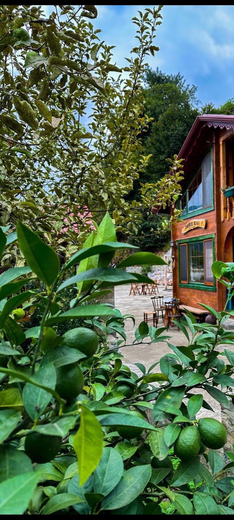 Dere Evi Apartamento Rize Exterior foto